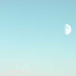 Meet your Posher, Janette